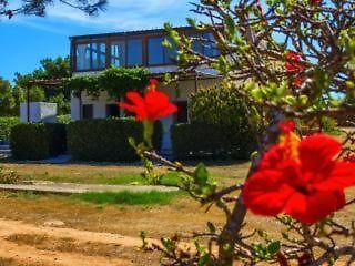 Casa Relax Acqua Marina Apartamento Ilha de Ilha de Favignana Exterior foto