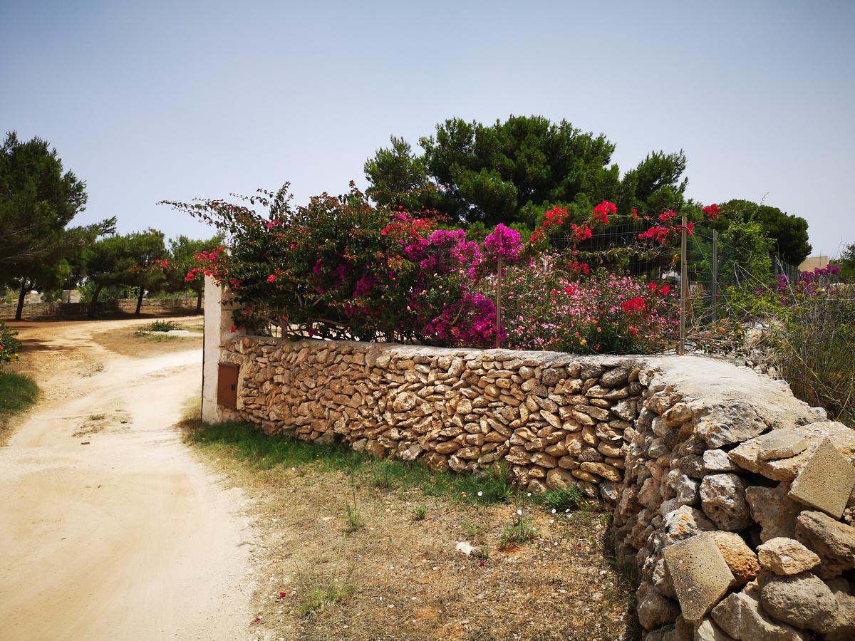 Casa Relax Acqua Marina Apartamento Ilha de Ilha de Favignana Exterior foto